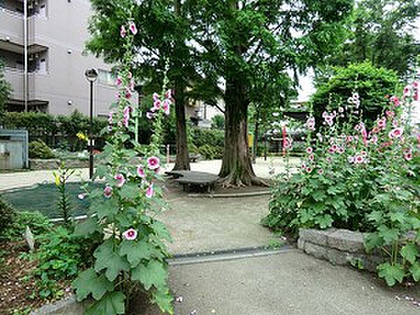 周辺環境:松ノ木公園
