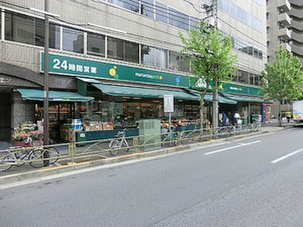 周辺環境:マルエツプチ新大塚店