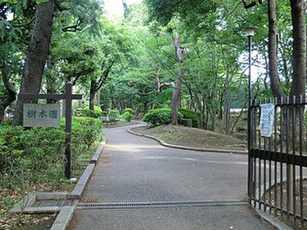 周辺環境:駒沢緑泉公園