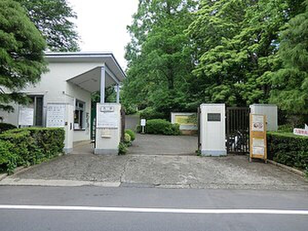 周辺環境:小石川植物園