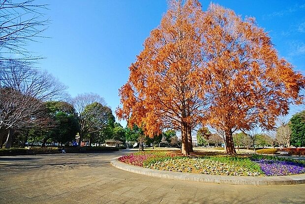 舟地蔵公園まで1071m