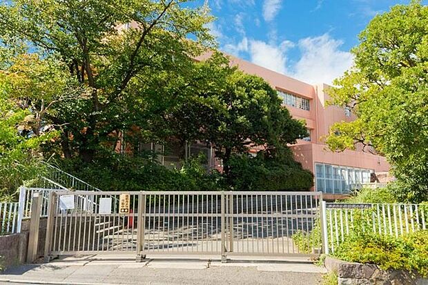 横浜市立荏田南小学校まで622m、緑道の中に立地する環境のよい学校です。PTAやお父さんの会の活動も活発で、地域をあげて学校を盛り立てています。