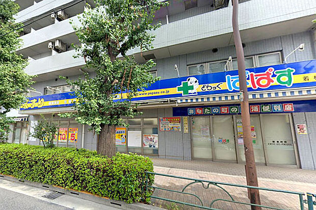 どらっぐぱぱす若林店まで30m、世田谷通りを挟んで本マンションの斜向かいです。