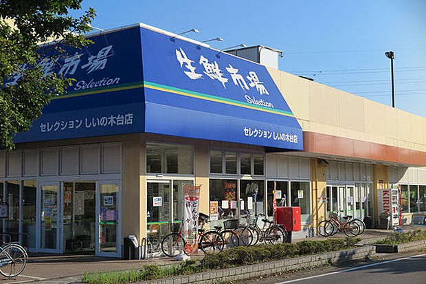 FOODS　MARKET　Selectionしいの木台店まで644m、FOODS　MARKET　Selectionしいの木台店