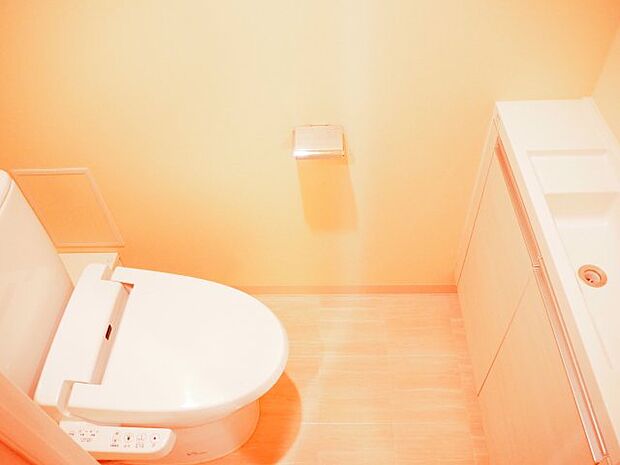 トイレには機能的ですっきりとしたデザインの手洗いカウンターが装備されています。