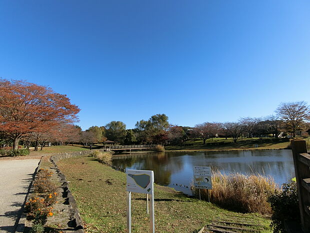 西城沼公園まで約350m