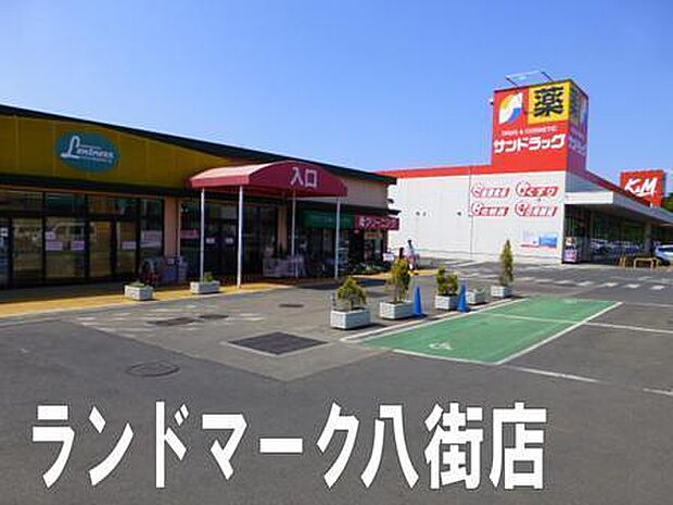 ランドロームフードマーケット八街店まで1175m