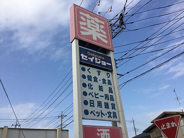 デイリーケアセイジョー浦和円正寺店まで571m