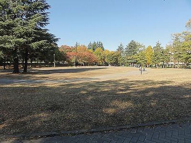 美しが丘公園まで730m