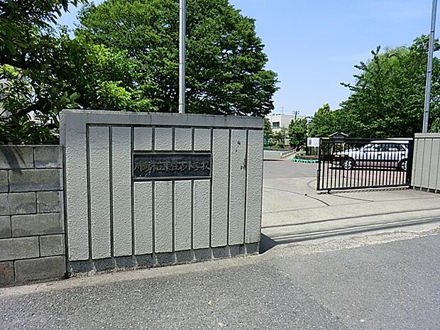 川崎市立東住吉小学校　550m　 