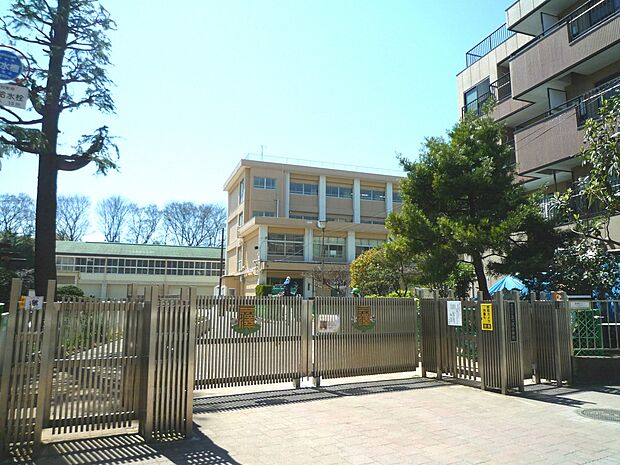 横浜市立三ツ沢小学校　750m　 