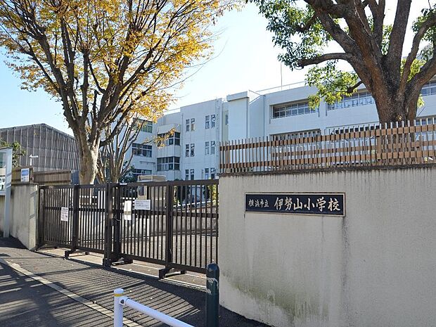 横浜市立伊勢山小学校　800m　 