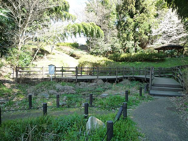 新井町公園　900m　せせらぎやトンボ池、孟宗竹の林や雑木林、ツツジやサツキなどの緑に囲まれています。 