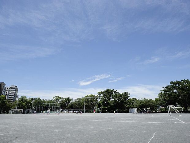 永田みなみ台公園　550m　広く野球やサッカーを楽しめる広場やログハウスのある公園です。放課後は小学生が楽しく遊んでいます。 