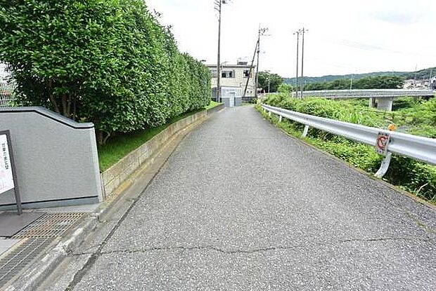 緑豊かな前面道路