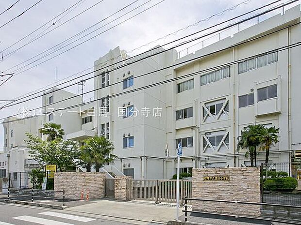 日野市立豊田小学校（800m）