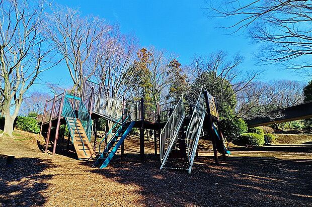 葛ヶ谷公園　距離約400m