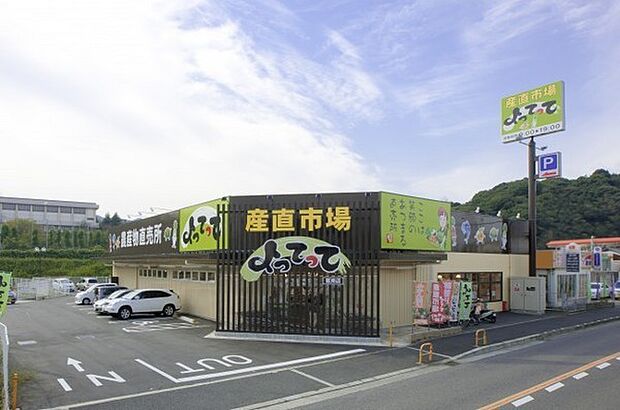 産直市場よってって阪南店まで1147m