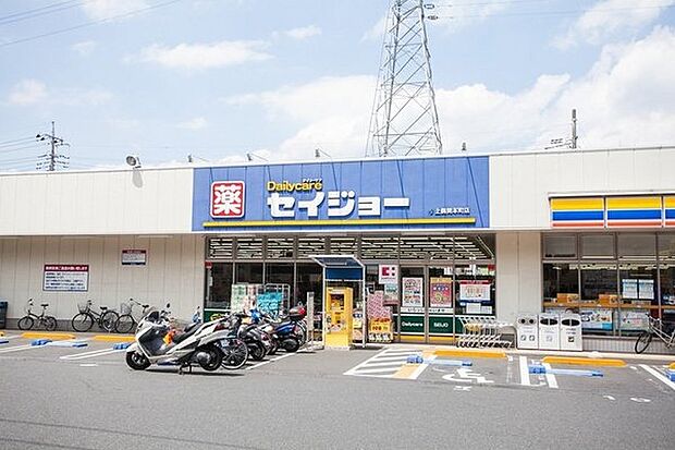 セイジョー上鶴間本町店まで642m