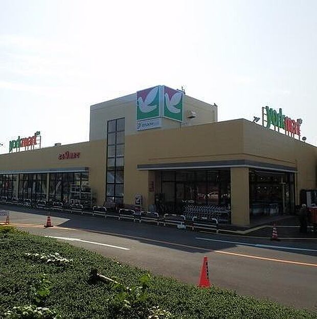 ヨークマート伊勢原店まで1254m