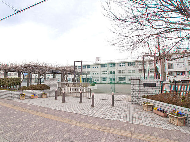 伊勢原市立伊勢原小学校まで916m