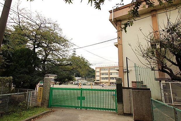 稲城市立稲城第三小学校まで553m、教育目標：○考える子（進んで考え、学び合う子供）確かな学力　○助け合う子（やさしく、思いやりのある子供）豊かな心　等