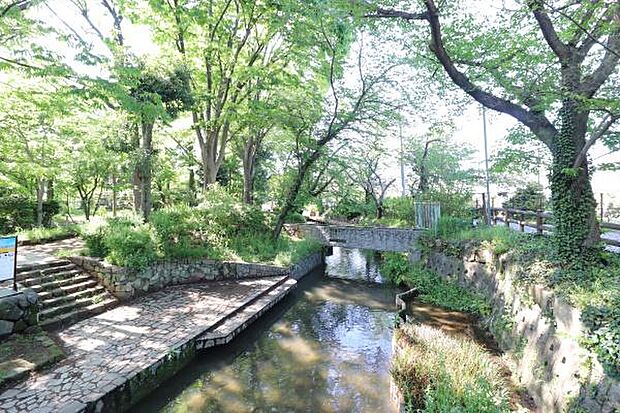 川崎市緑化センターまで1084m、園内は木々の緑に囲まれ、花壇にはタネから育てた草花が咲き乱れています。温室では珍しい熱帯植物を見ることができます