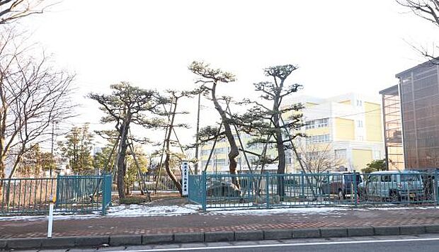 新潟市立鳥屋野小学校まで2328m