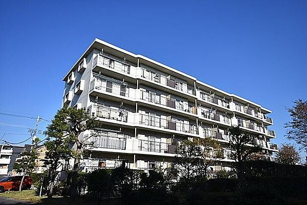 入間扇町屋団地18号棟(1LDK) 5階のその他画像