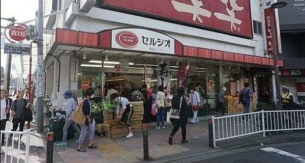 スーパーマーケットセルシオ和田町店まで439m