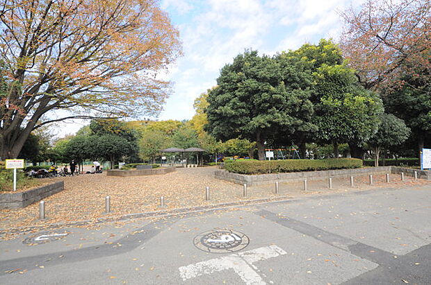 亀ヶ谷公園（所沢市）（250m）