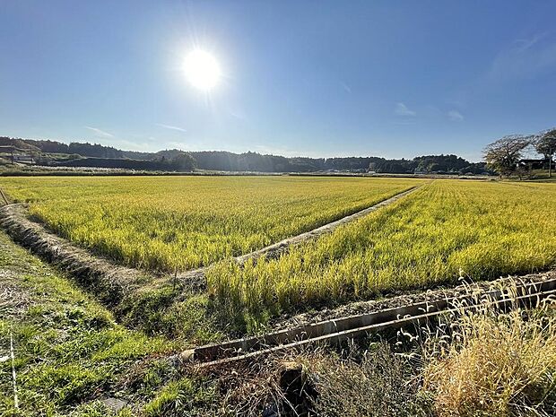 周囲は長閑な田園風景。日本の原風景が残っています