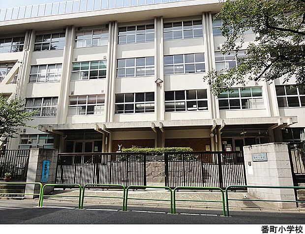 番町小学校