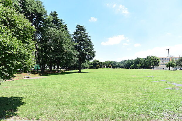 彩の森入間公園多目的広場まで695m