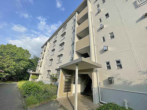 男山第3住宅216棟(3DK) 5階のその他画像