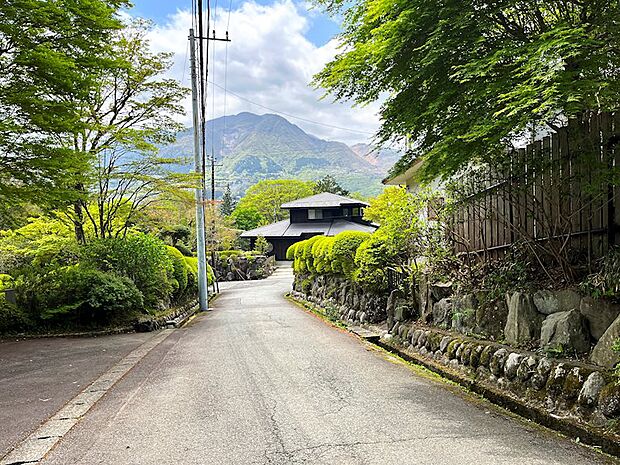東急箱根明神平サニーパーク別荘地、戸建のご紹介です。前面道路は緩やかな傾斜地になります。