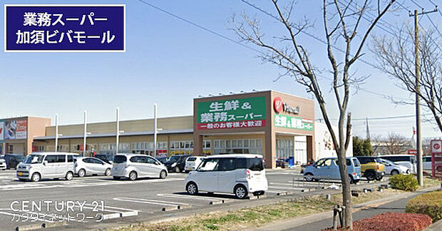 業務スーパー加須ビバモール店まで1200m、業務スーパー加須ビバモール店　徒歩約15分
