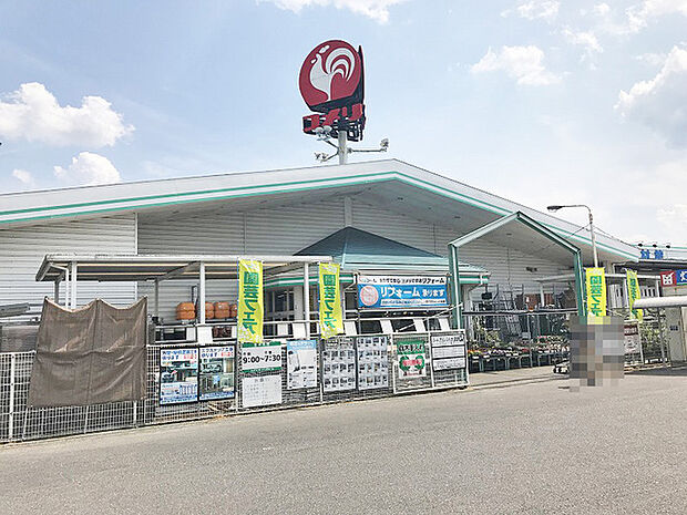 コメリハード＆グリーン 信楽店