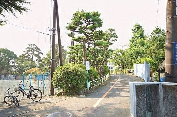 藤沢市立藤沢小学校まで450m