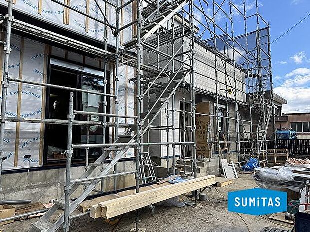 2026年1月12日撮影