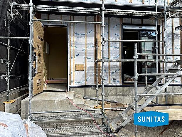 2026年1月12日撮影