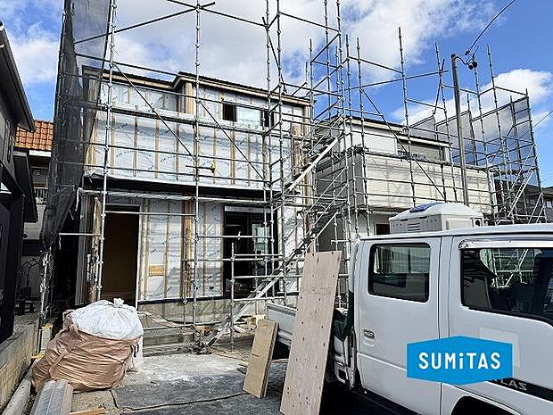 2026年1月12日撮影