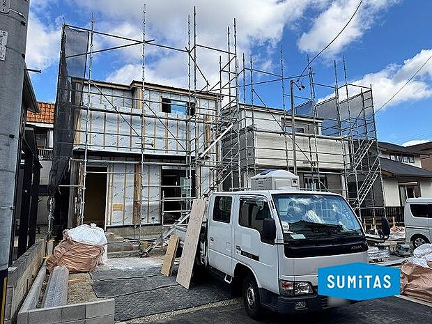 2026年1月12日撮影