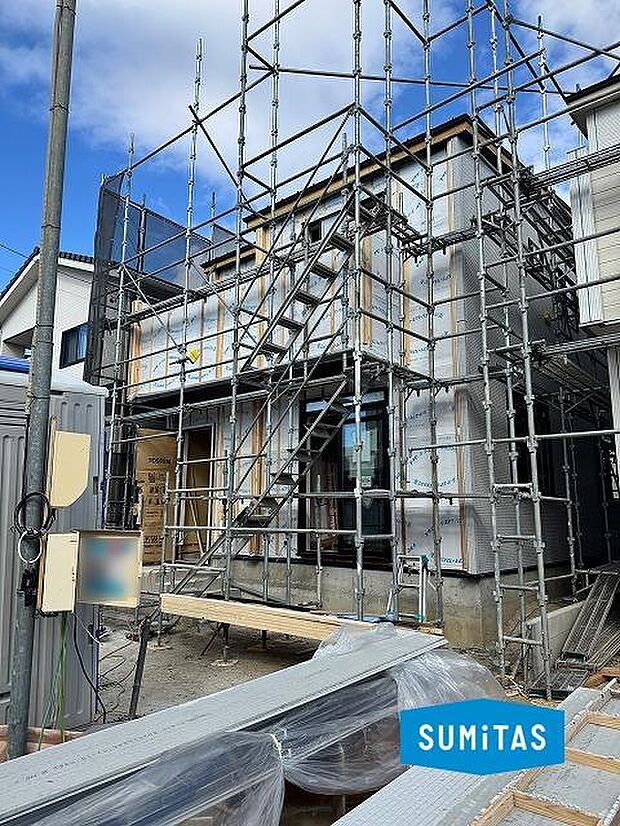 2026年1月12日撮影