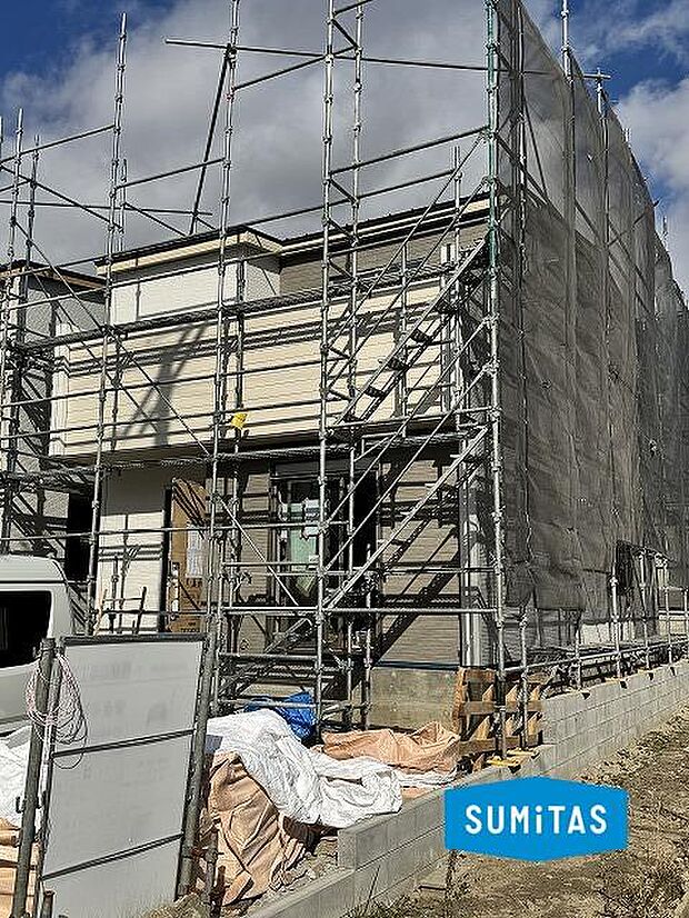 2026年1月12日撮影