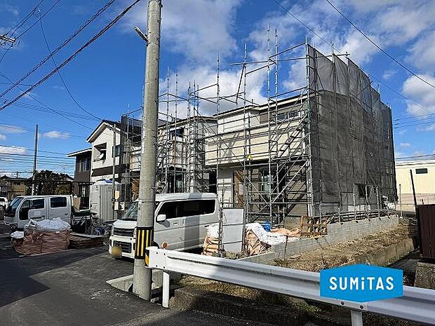 2026年1月12日撮影