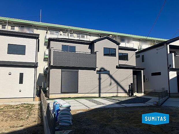 2026年1月10日撮影