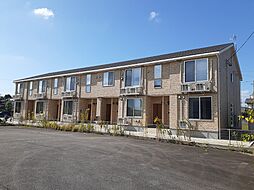 マリーゴールド