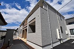 ドリームコスモス