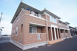 サニープラシードIII